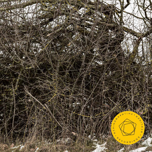 欧美做受❌❌❌高潮
